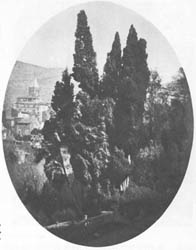 83. ROBERT MACPHERSON. VRT VILLE D’ESTE, TIVOLI, OKO 1857.