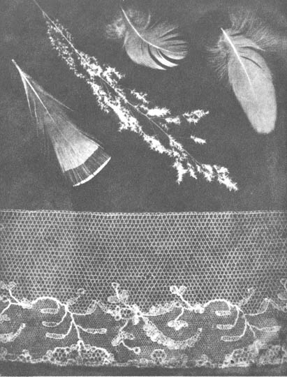 Fotogenicki crtež pera i cipke, 1839.