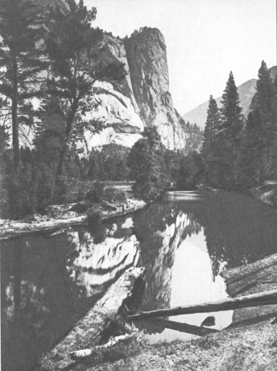 Washingtonov stub, yosemite