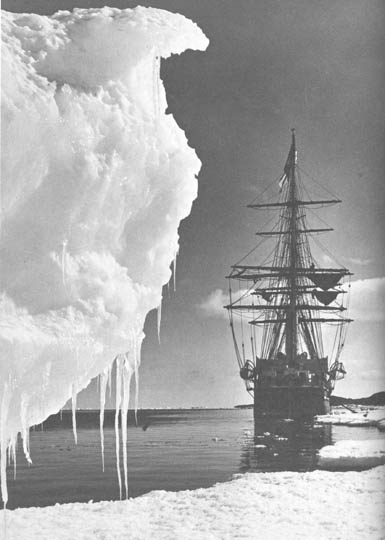 „terra nova” na antarktiku