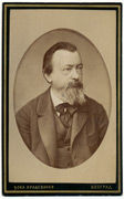 Muškarac sa brkovima i bradom