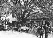  Kafana „Kod duda“