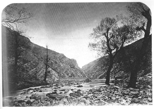 Izvor Timoka