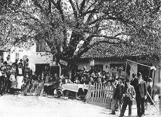  Kafana „Kod duda“