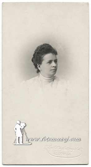 Portret gospođe u beloj haljini (autor Ivan Živković)