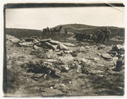 Zarobljeni bugarski top i bugarski leševi, 1917. godina