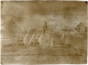 Počast poginulim, 1916. godine