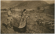Fotograf: Risto Šuković, iz perioda (1914-1918)