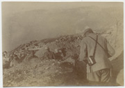 Na kotki sa pukovnikom Plazinom, 1917.g.