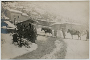 Fotograf: V. Vuković, iz perioda (1915-1918)