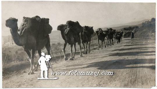 Karavan prolazi kroz Vodenu, 1917.g. (autor V. Vuković)