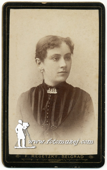 Dama sa brošem (autor Franc Regecki)
