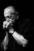 Charlie Musselwhite