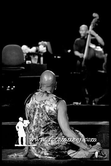 Dee Dee Bridgewater (autor Zoran  Trtica)