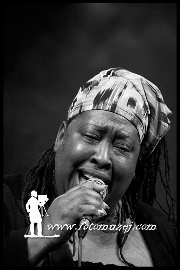 Inetta Visor (Mississippi Heat) (autor Zoran  Trtica)