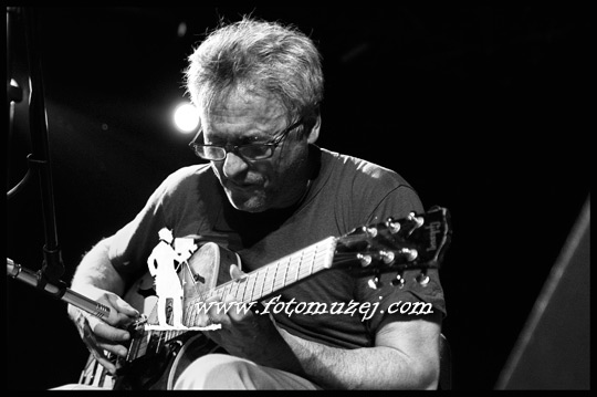Mark Ribot 02 (autor Zoran  Trtica)